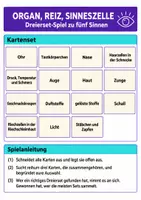 Vorschau - Arbeitsblätter - Sinnesorgane – 3 Lernspiele Biologie Klasse 8–9 - Seite 1