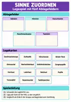 Vorschau - Arbeitsblätter - Sinnesorgane – 3 Lernspiele Biologie Klasse 8–9 - Seite 2