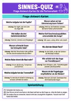 Vorschau - Arbeitsblätter - Sinnesorgane – 3 Lernspiele Biologie Klasse 8–9 - Seite 3