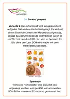 Vorschau - Spiele - SCHätze im Laub entdecken - Seite 3