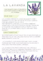 anteprima - Materiale interattivo - Piante e animali - alla scoperta degli esseri viventi - Pagina 1
