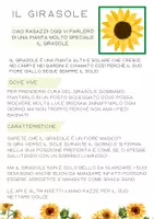 anteprima - Materiale interattivo - Piante e animali - alla scoperta degli esseri viventi - Pagina 2