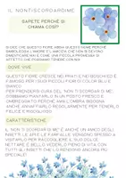 anteprima - Materiale interattivo - Piante e animali - alla scoperta degli esseri viventi - Pagina 3