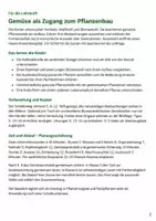 Vorschau - Stundenentwürfe - Pflanzenorgane und Auslesezüchtung bei Kohlgemüse – Mission Gemüseverwandtschaft | Biologie-Mission Klasse 5-6 - Seite 1