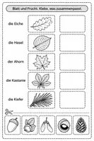 Vorschau - Arbeitsblätter - Der Igel im Herbst - Seite 2