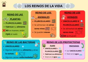 Vista previa - Refuerzo / NEE / Materiales de apoyo - La Célula y los Seres Vivos - 5º Primaria - página 2