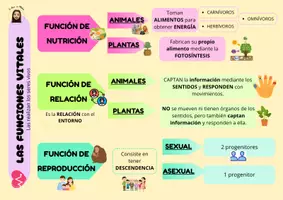 Vista previa - Refuerzo / NEE / Materiales de apoyo - La Célula y los Seres Vivos - 5º Primaria - página 1