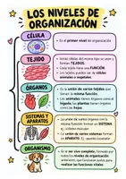 Vista previa - Refuerzo / NEE / Materiales de apoyo - La Célula y los Seres Vivos - 5º Primaria - página 3