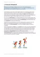 Vorschau - Stundenentwürfe - Biomechanische Prinzipien – 90-Minuten-Unterrichtsstunde mit Gruppenarbeit, Museumsrundgang & Lösungen - Seite 2