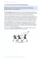 Vorschau - Stundenentwürfe - Biomechanische Prinzipien – 90-Minuten-Unterrichtsstunde mit Gruppenarbeit, Museumsrundgang & Lösungen - Seite 3