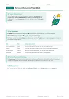 Vorschau - Arbeitsblätter - Fotosynthese Klasse 7-8 – Arbeitsblätter - Seite 3