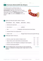 Vorschau - Arbeitsblätter - Hormone und Blutzucker Klasse 9 üben - Seite 3