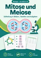 Vorschau - Arbeitsblätter - Mitose und Meiose Klasse 9-10 Zellteilung - Deckblatt