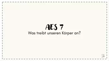 Vorschau - Stundenentwürfe - AES7 Unterricht "Wie fettig ist mein Essen?" (Inklusive Versuch) - Seite 2