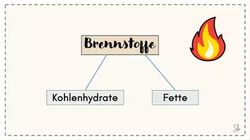 Vorschau - Stundenentwürfe - AES7 Unterricht "Wie fettig ist mein Essen?" (Inklusive Versuch) - Seite 3