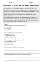Vorschau - Arbeitsblätter - Lesetest Klasse 3 – Vögel | 10 Lesetexte mit Fragen & Lösungen - Seite 3