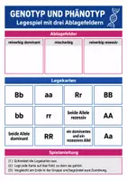 Vorschau - Arbeitsblätter - Vererbung & Genetik – 3 Lernspiele Biologie Klasse 9–10 - Seite 2