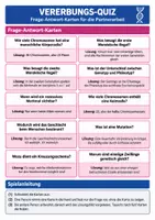 Vorschau - Arbeitsblätter - Vererbung & Genetik – 3 Lernspiele Biologie Klasse 9–10 - Seite 3