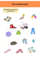 Voorbeeld - Enkelvoud en meervoud - Pagina 2