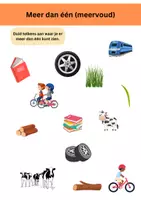 Voorbeeld - Enkelvoud en meervoud - Pagina 3
