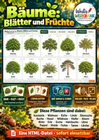 Vorschau - Arbeitsblätter - 🌳 Bäume: Blätter und Früchte – interaktives Smartboard-Tool mit Lernkarten, Quiz & Vorlesefunktion 🔊 - Seite 1