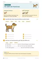 Vorschau - Unterrichtsreihen - Vom Wolf zum Hund · Klasse 3 · Übungspack - Seite 3