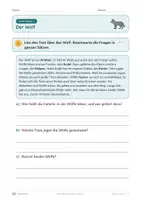 Vorschau - Unterrichtsreihen - Vom Wolf zum Hund · Klasse 3 · Bündel: Standard + luftige Fassung - Seite 2