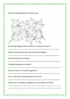 Vorschau - Arbeitsblätter - Alles rund um den Herbst - mit Lösung - Seite 2
