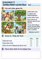 Vorschau - Arbeitsblätter - Zachäus begegnet Jesus | Religion Klasse 2 Arbeitsblätter | Evangelische Religionslehre | 10 Arbeitsblätter als PDF - Seite 3
