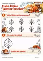 Vorschau - Arbeitsblätter - Herbstblätter & Bäume – Naturwissen zum Mitmachen - Seite 2