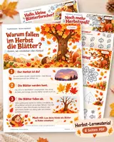 Vorschau - Arbeitsblätter - 🍁Warum fallen im Herbst die Blätter? Entdecken & Mitmachen - Deckblatt