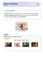 Vorschau - Stationenlernen - Nomen | Lernwerkstatt + Lernzielkontrolle | Nomen erkennen, Artikel der, die, das, Fotokarten | Deutsch Klasse 2/3 | mit Lösungen - Seite 3