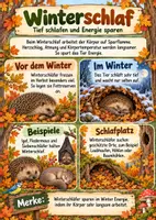 Vorschau - Arbeitsblätter - Tiere im Herbst - Materialpaket + s/w Version - Deckblatt