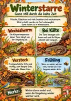Vorschau - Arbeitsblätter - Tiere im Herbst - Materialpaket + s/w Version - Seite 3