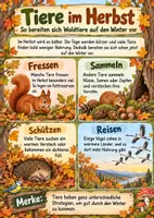 Vorschau - Arbeitsblätter - Tiere im Herbst - Materialpaket + s/w Version - Seite 1