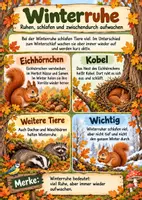 Vorschau - Arbeitsblätter - Tiere im Herbst - Materialpaket + s/w Version - Seite 2