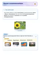 Vorschau - Arbeitsblätter - Zusammengesetzte Nomen | Lernwerkstatt + Lernzielkontrolle | Grundwort und Bestimmungswort, Fotokarten | Deutsch Klasse 2/3 | mit Lösungen - Seite 3