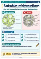 Vorschau - Stundenentwürfe - Mikroskopieren lernen – Aufbau, Bedienung, Präparate & Mikroskop-Führerschein | Natur und Technik Klasse 5 - Seite 2