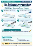 Vorschau - Stundenentwürfe - Mikroskopieren lernen – Aufbau, Bedienung, Präparate & Mikroskop-Führerschein | Natur und Technik Klasse 5 - Seite 3
