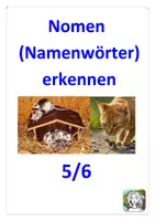 Vorschau - Arbeitsblätter - Materialpaket (Nomen sind Namenwörter) - Seite 1