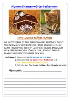 Vorschau - Arbeitsblätter - Materialpaket (Nomen sind Namenwörter) - Seite 2