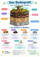 Vorschau - Poster - Boden Aufbau Bodenprofil Poster Klasse 5-6 - Deckblatt