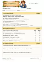 Vorschau - Test - Wissenstest: Die Maya & ihre Tempel – Zeitreise Sachunterricht - Seite 3