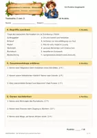 Vorschau - Test - Wissenstest: Renaissance & Leonardo da Vinci – Zeitreise Sachunterricht - Seite 2