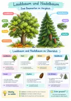 Vorschau - Poster - Laubbaum Nadelbaum Poster Klasse 3-4 - Deckblatt