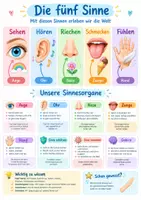 Vorschau - Poster - Fünf Sinne Poster Grundschule 1-2 - Deckblatt