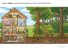 Vorschau - Arbeitsblätter - Materialpaket Wald Klasse 4 - Seite 2