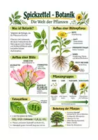 Vorschau - Arbeitsblätter - Botanik, Pflanzenaufbau, Blüte Überblick + Aufgaben – Biologie Sek I Klasse 5-7 - Deckblatt