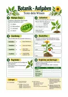 Vorschau - Arbeitsblätter - Botanik, Pflanzenaufbau, Blüte Überblick + Aufgaben – Biologie Sek I Klasse 5-7 - Seite 1