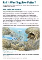 Vorschau - Arbeitsblätter - Escape Room Bach: Die Bachdetektive | Sachunterricht Klasse 3-4 - Seite 3